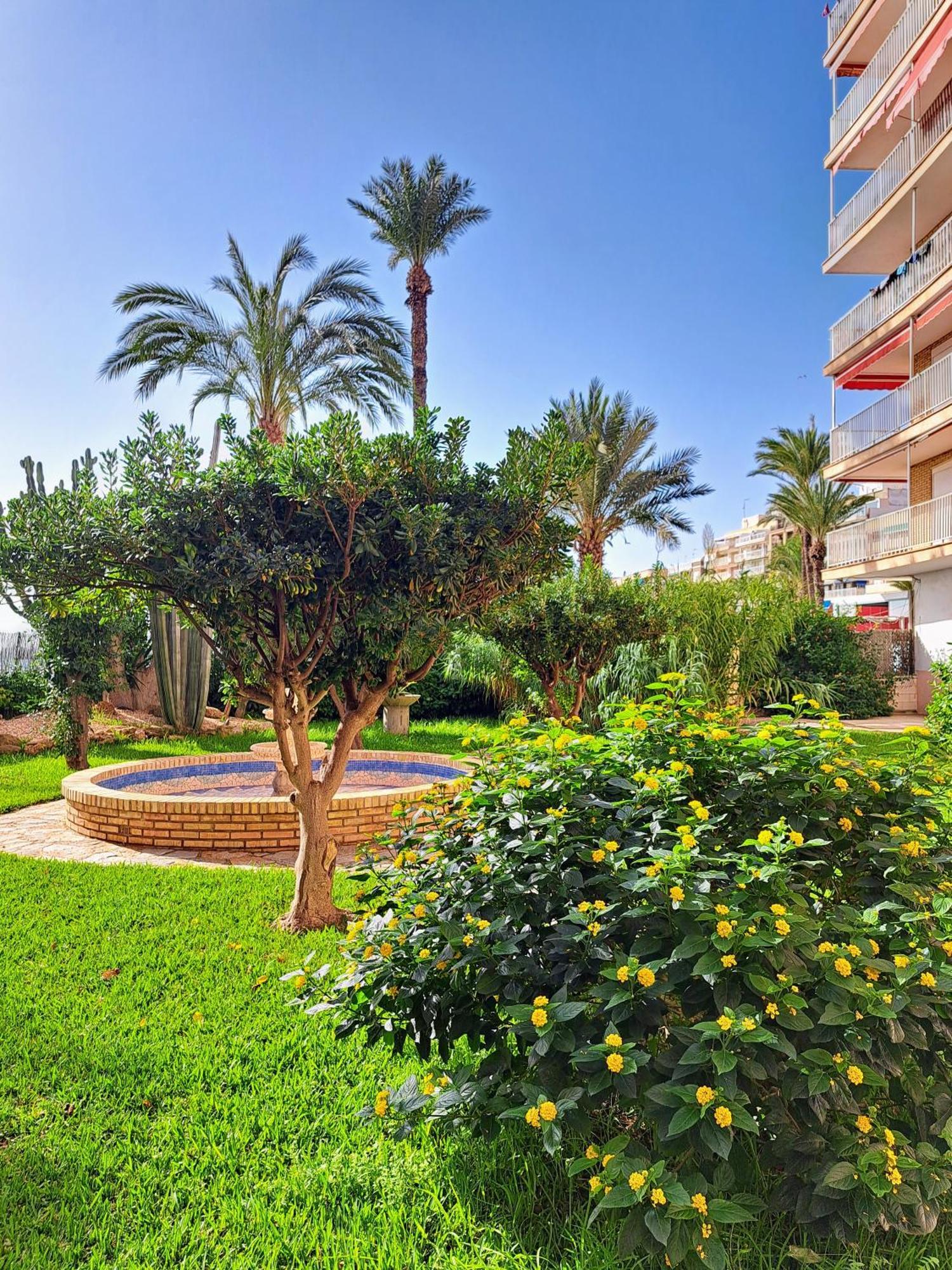 Garden Beach Apartment Torrevieja Ngoại thất bức ảnh