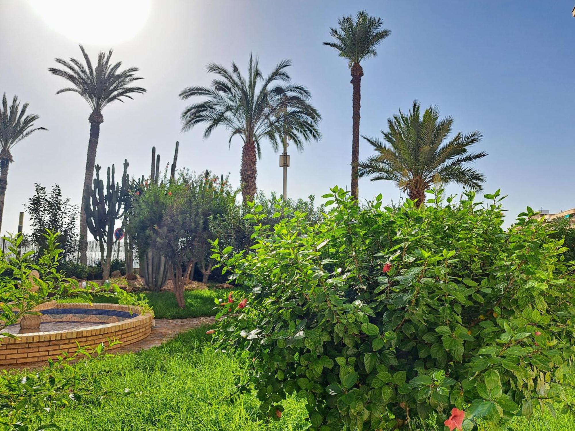 Garden Beach Apartment Torrevieja Ngoại thất bức ảnh